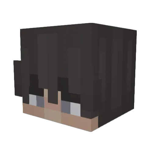 3upa Minecraft avatar head, 3D render