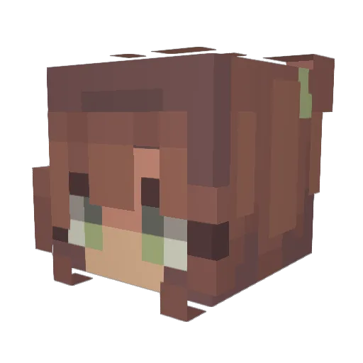 3vilBug Minecraft avatar head, 3D render