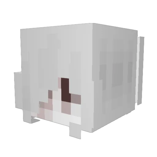 3vts Minecraft avatar head, 3D render