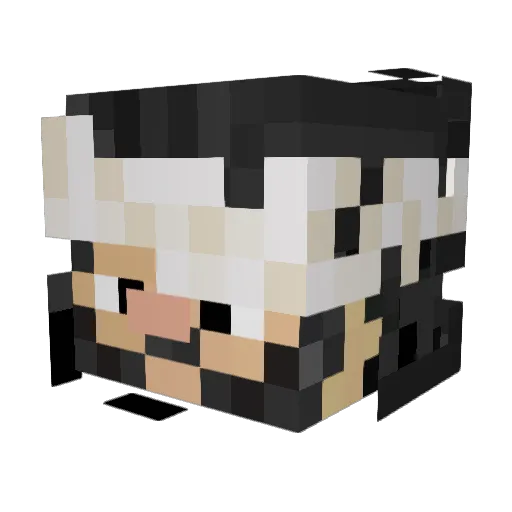 3wafy Minecraft avatar head, 3D render