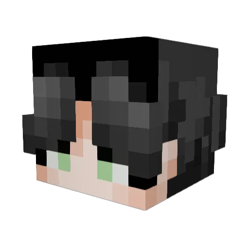 3xb_ Minecraft avatar head, 3D render