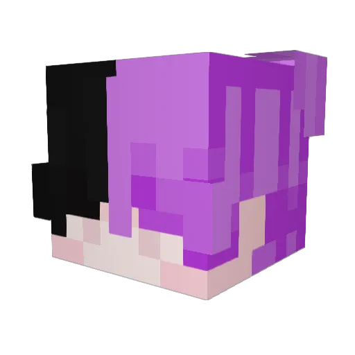 401AJA Minecraft avatar head, 3D render