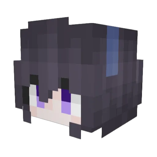 4022sun Minecraft avatar head, 3D render