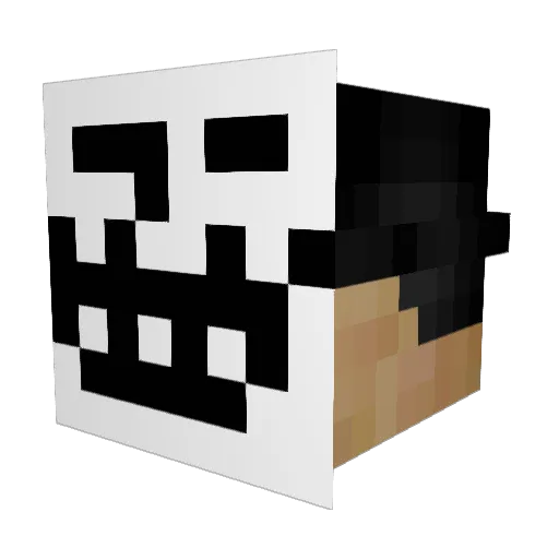 404Enzor Minecraft avatar head, 3D render