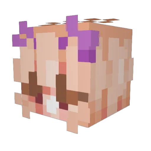 404_Was_Found Minecraft avatar head, 3D render