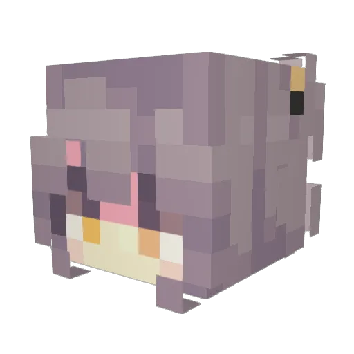 404fethow404 Minecraft avatar head, 3D render