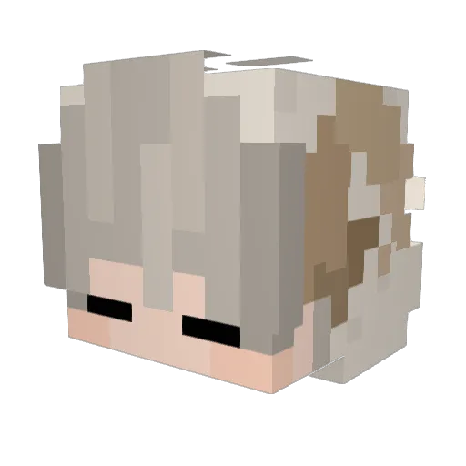 404notfriend Minecraft avatar head, 3D render