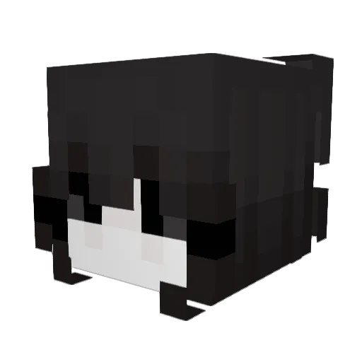 40Clip Minecraft avatar head, 3D render