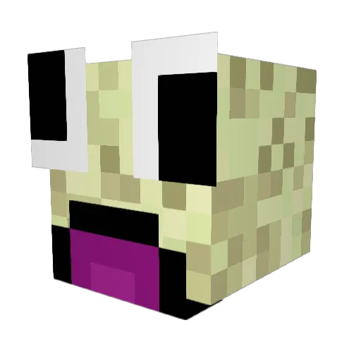 415aaron Minecraft avatar head, 3D render