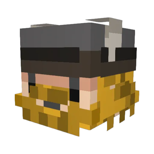 41mike64 Minecraft avatar head, 3D render