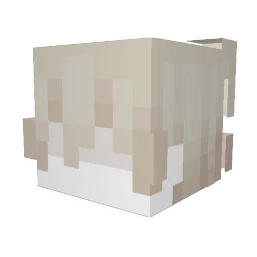 41z_ Minecraft avatar head, 3D render