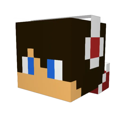 420Consumer75 Minecraft avatar head, 3D render