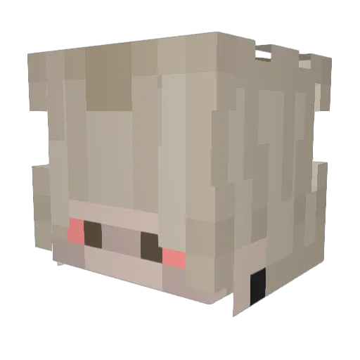 420DankShotZ Minecraft avatar head, 3D render
