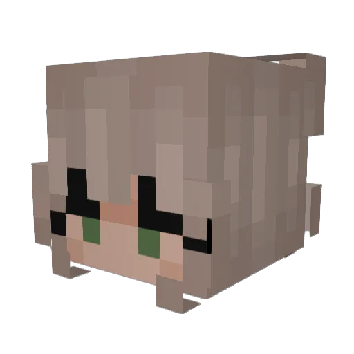 420Ily Minecraft avatar head, 3D render