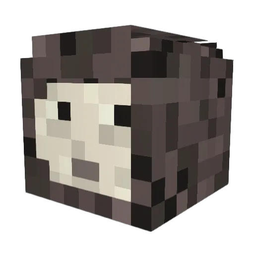 420Shrek69 Minecraft avatar head, 3D render