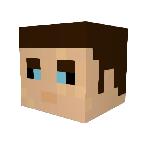 42_Herg Minecraft avatar head, 3D render