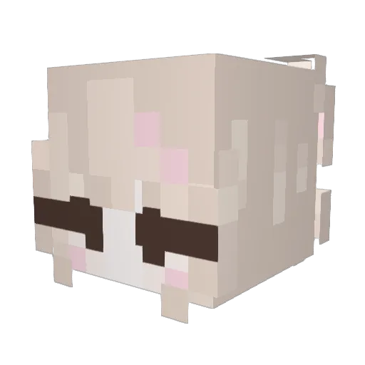 444drool Minecraft avatar head, 3D render