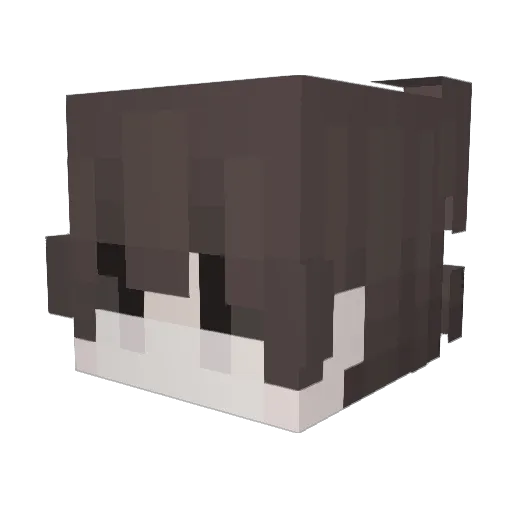 444finn Minecraft avatar head, 3D render