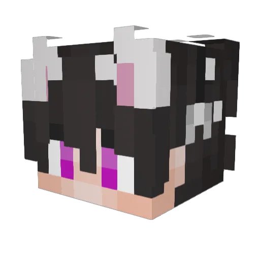 45Ole Minecraft avatar head, 3D render