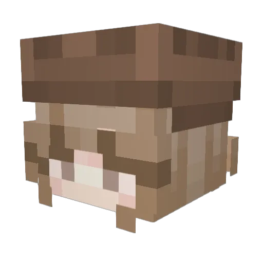 45er10 Minecraft avatar head, 3D render