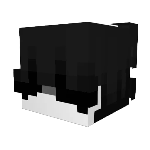 47QAQQWQ Minecraft avatar head, 3D render