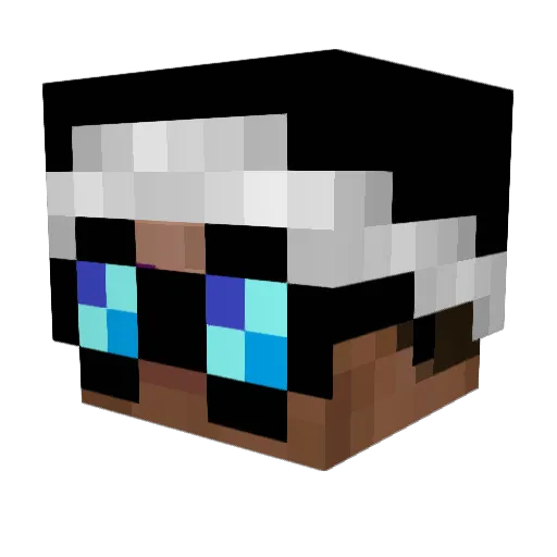48hh Minecraft avatar head, 3D render