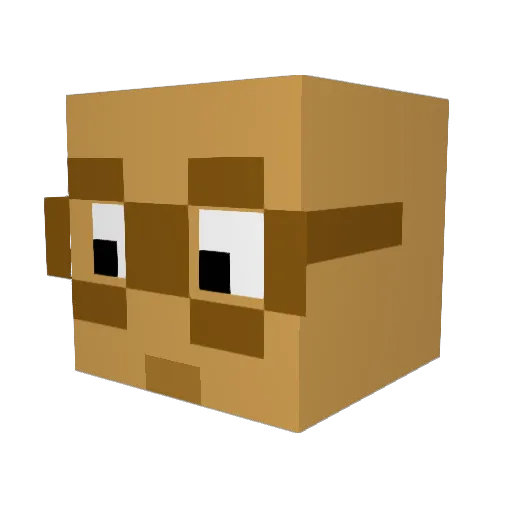 48thMemeLord Minecraft avatar head, 3D render