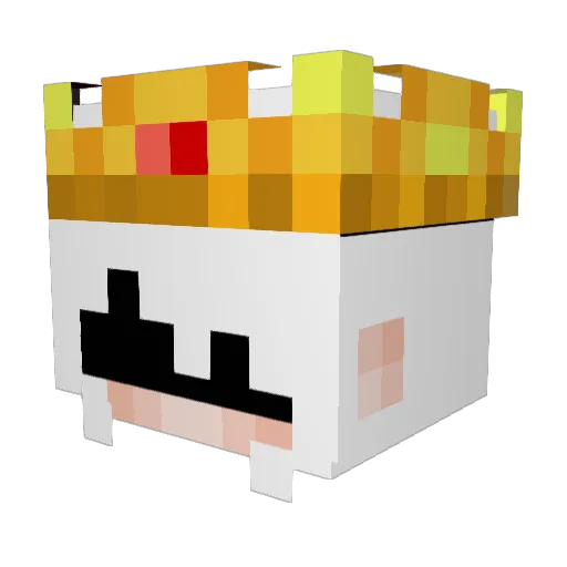 492O Minecraft avatar head, 3D render
