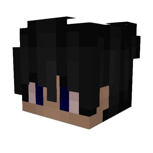 49Urpils Minecraft avatar head, 3D render