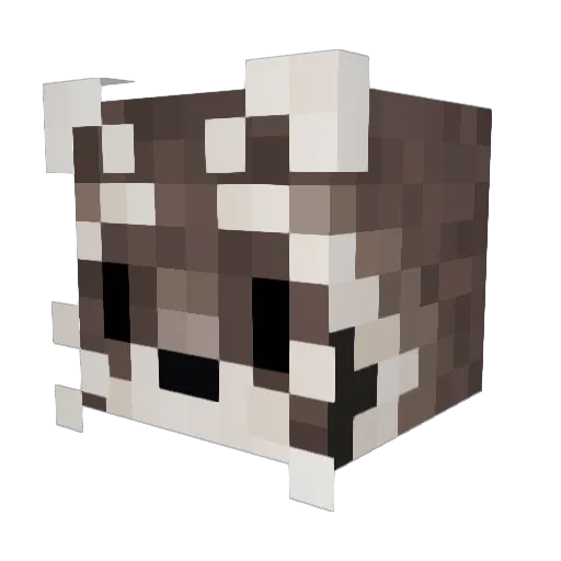 4Bz_ Minecraft avatar head, 3D render