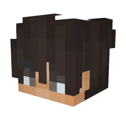 4DR1EL1TO Minecraft avatar head, 3D render