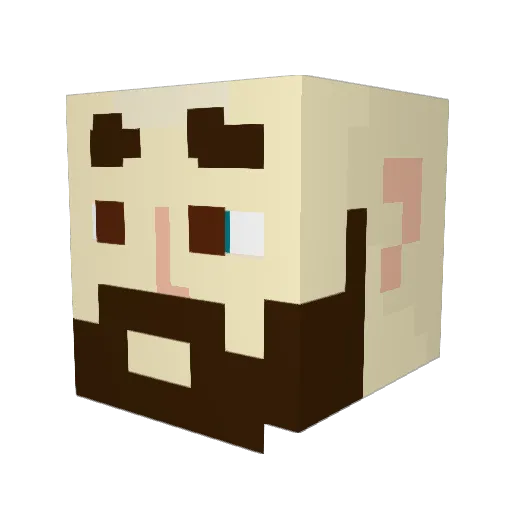 4ECHJunior Minecraft avatar head, 3D render