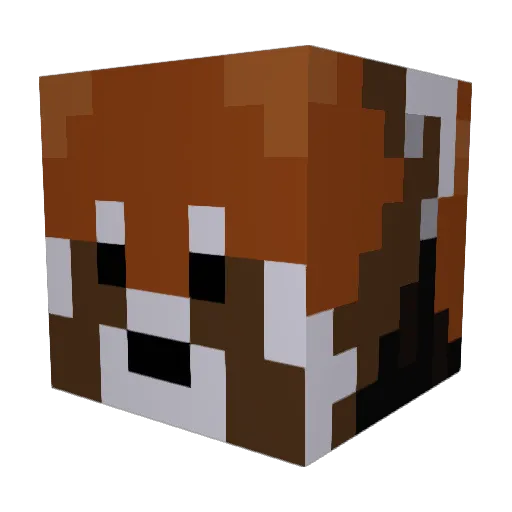 4Earth Minecraft avatar head, 3D render