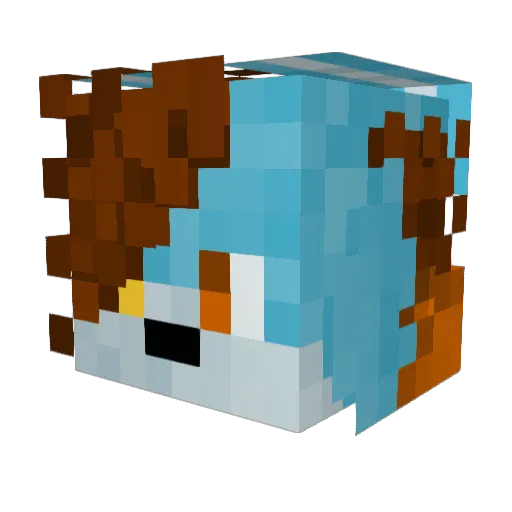 4EvaMorr Minecraft avatar head, 3D render