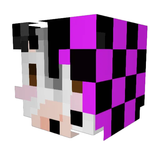 4EverB4lls Minecraft avatar head, 3D render