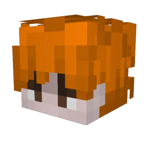 4FunS4cha Minecraft avatar head, 3D render
