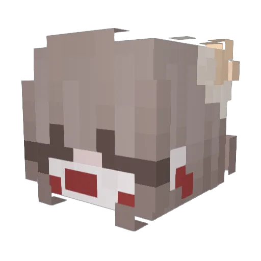 4Hael Minecraft avatar head, 3D render