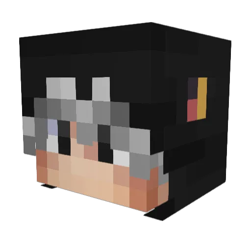 4I5 Minecraft avatar head, 3D render
