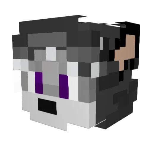 4I_X Minecraft avatar head, 3D render