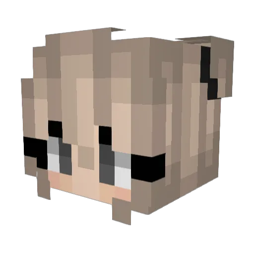 4L1S Minecraft avatar head, 3D render