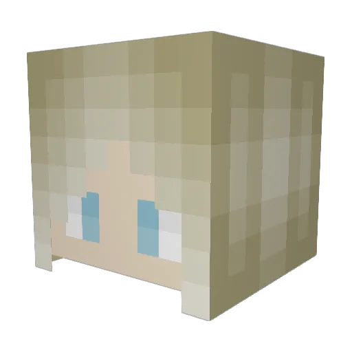 4N4L Minecraft avatar head, 3D render