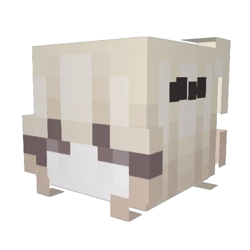 4NA Minecraft avatar head, 3D render