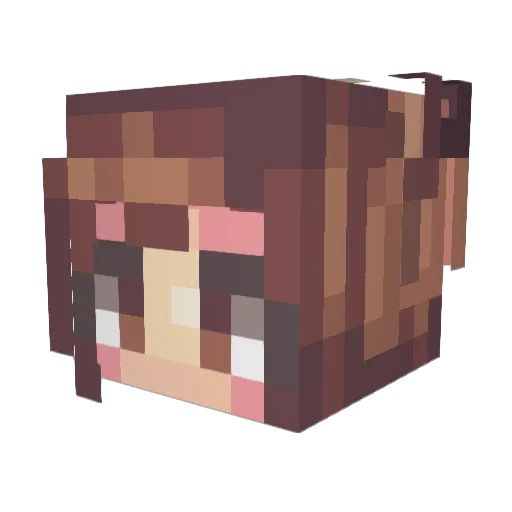 4NGS Minecraft avatar head, 3D render