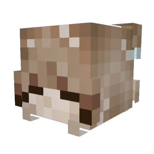 4NNA10 Minecraft avatar head, 3D render
