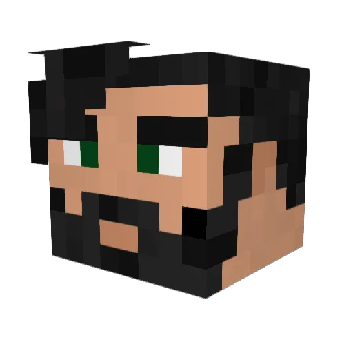 4NewFrontier Minecraft avatar head, 3D render