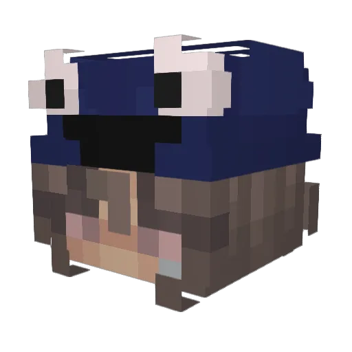 4NightFqll_ Minecraft avatar head, 3D render