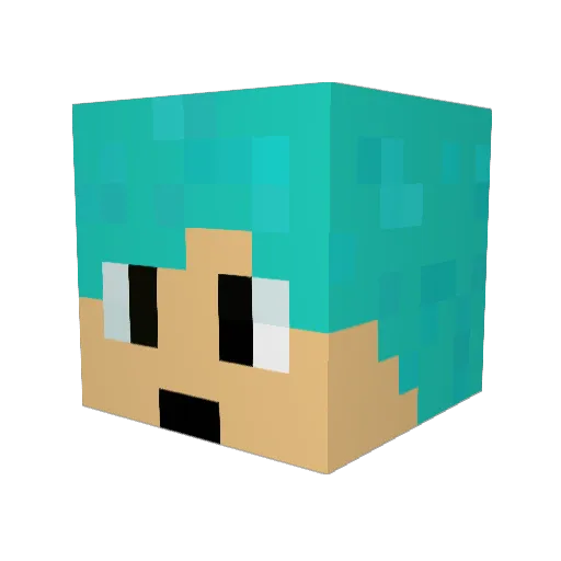 4OOK Minecraft avatar head, 3D render