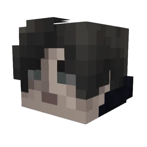 4OverLoad4 Minecraft avatar head, 3D render