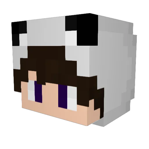 4PromilleOhnePep Minecraft avatar head, 3D render