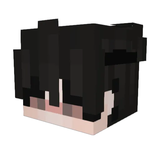 4R0XE Minecraft avatar head, 3D render